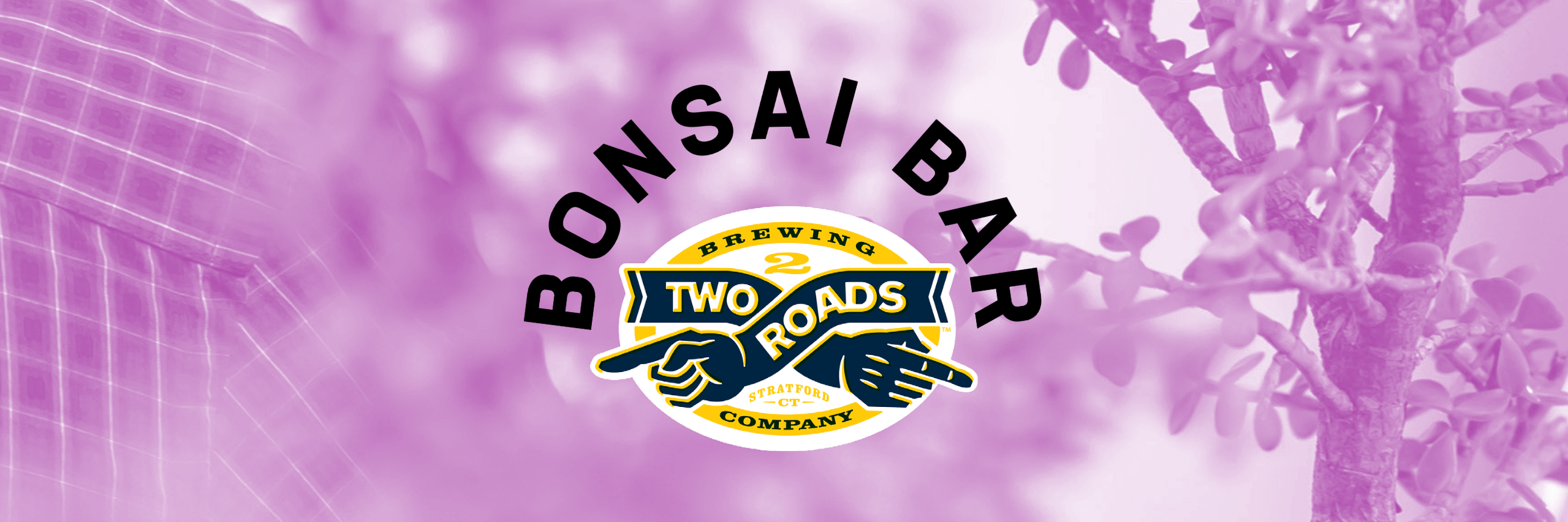 Bonsai Bar Two Roads Brewing